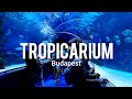 Tropicarium budapest
