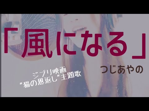 つじあやの 【風になる】  ～猫の恩返し 主題歌～