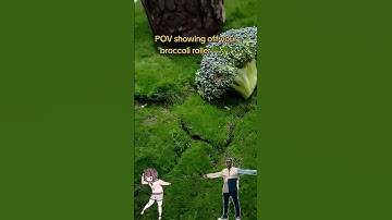 Vintage Rolling Machine Tutorial | Do it yourself🥦🥦