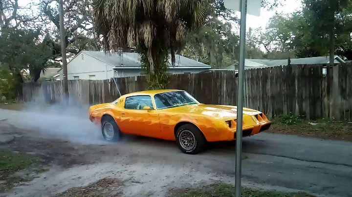 1979 Pontiac Firebird - Smokey Burnout