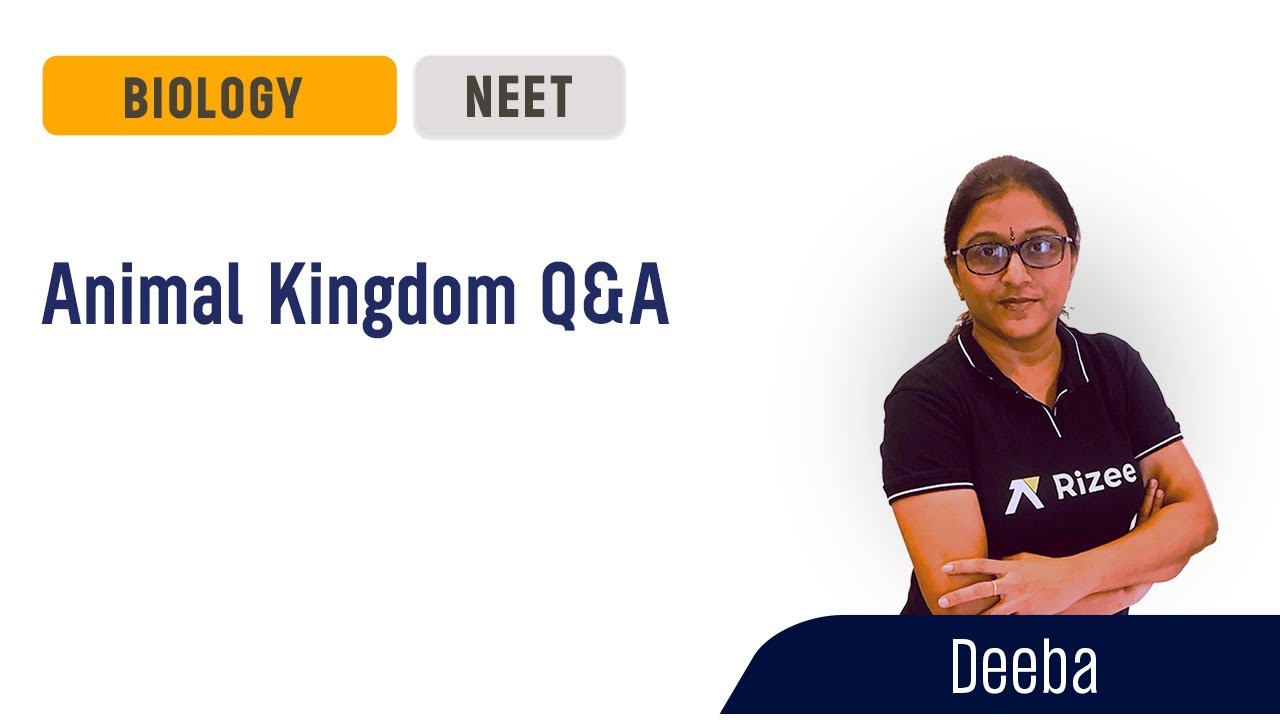 Animal Kingdom Question & Answer Zoology NEET Repeater2022 YouTube