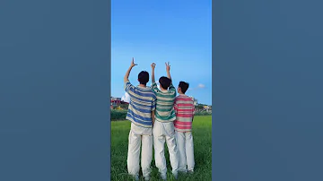 What Do You See 