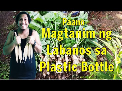 Video: Paggamit Ng Mga Plastik Na Bote Sa Hardin At Hardin Ng Gulay
