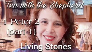 Famous TWTS: 1 Peter 2 (part 1): Living Stones Net Worth