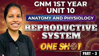 Reproductive System One Shot | Unit 10 | Most Imp Questions | GNM 1st Year | Anatomy and Physiology