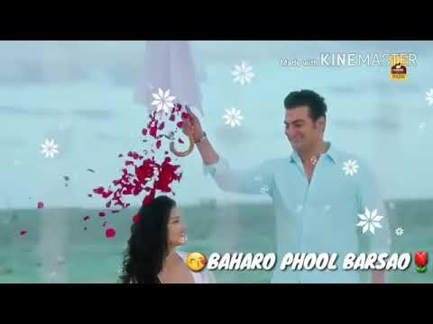 Baharo Phool Barsao old song whatsapp status