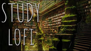 Lofi Study Ruins Library 📚️ Vibes Ambient Nature Sounds with Chill Cats ChillHop Radio