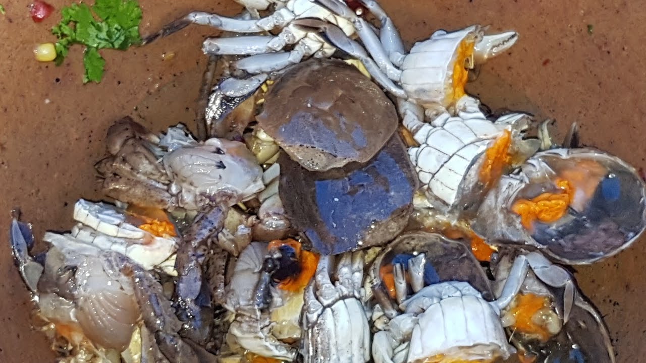 ใครไม่เคยลอง..ไปสั่งเลย..ยำปูแป้น อร่อยมาก ขอบอก กับแกล้มชั้นดีหายาก ส้มตำยำเจ้เล็ก ประจวบ Yum Spicy