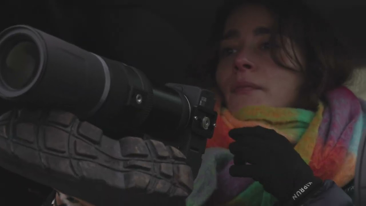 Iceland January 2026 110