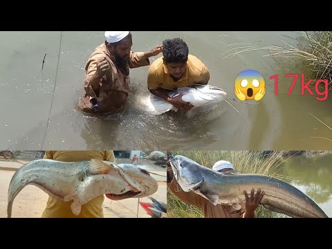 Best moments of big pathan fishes  17 kg fish and tricks