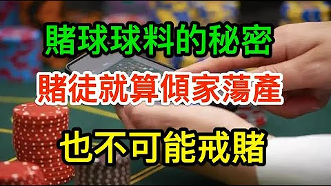我在澳门赌场的故事（二十二）一个沈迷于赌博无法自拔的人，即使是倾家荡产，也不可能戒赌；我已经体会过澳门的灯红酒绿，纸醉金迷，而且我还没在澳门输光，只要有钱，我还是会去的 - 天天要闻