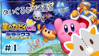 【星のカービィWiiデラックス】ゲーム下手っぴぬいぐるみ、またカービィをやる！！＃１