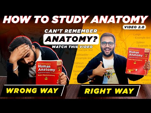 How to Study