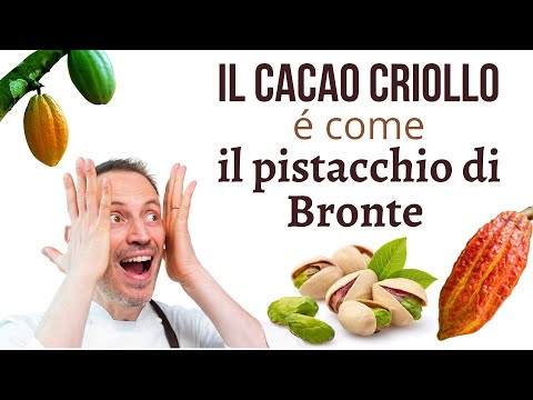 Il "cacao" Criollo è come il pistacchio di Bronte