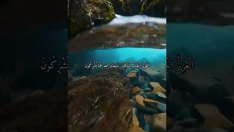 واتس اب قران كريم القارئ ياسر دوسري (سوره الحشر )