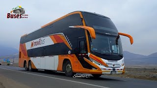 desde la panamericana Norte (Ancon) buses Norteños 2023