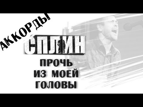 Сплин Прочь из моей головы аккорды 🎸 кавер табы как играть на гитаре | pro-gitaru.ru