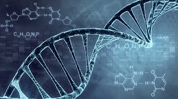 146342831 dna double helix 3d animation  H264HD1080 1