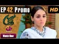 Drama | Ghareebzaadi - EP 42 Promo | Aplus ᴴᴰ Dramas | Suzzaine Fatima, Shakeel Ahmed | C2Y1