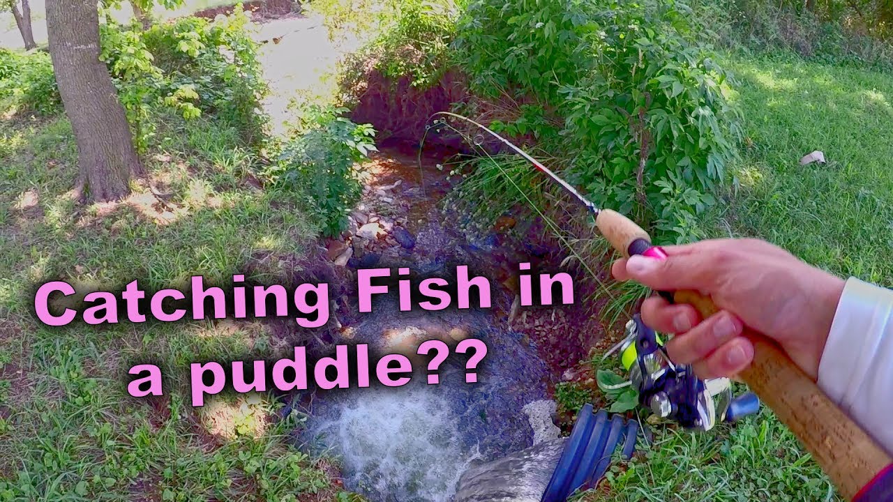 MultiSpecies Ultralight Fishing YouTube