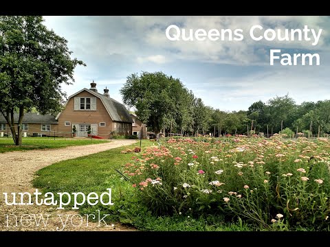 Virtual Tour: Queens County Farm