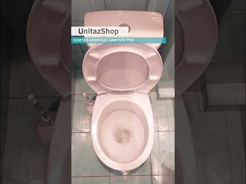 Video: Toilet 