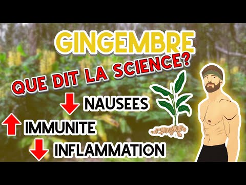 Vidéo: Où Acheter Du Gingembre