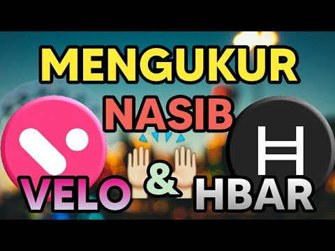 APAKAH VELO & HBAR MASIH LAYAK DI HOLD? SIMAK ANALISA HBAR VELO COIN CRYPTO INDONESIA