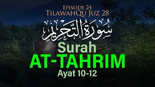 Surah At-Tahrim Ayat 10-12 [Episode 24 TilawahQu Juz 28]