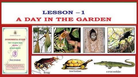 3rd Standard  //EVS  //Lesson : 1/ A DayInTheGarden @learnwithmechannel-e5h