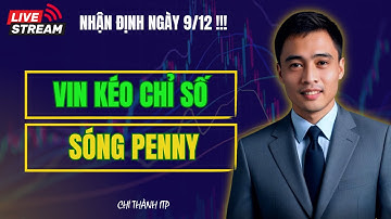SÓNG PENNY CÓ DẪN VN-Index VỀ MÁNG LỢN? Xem Ngay Để Lọc Cổ Phiếu KHỎI THỊ TRƯỜNG!