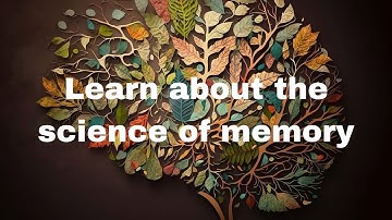 The Science of Memory How We Remember and Why We Forget