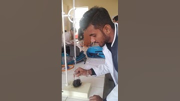 At Pharmaceutical Analysis Lab #shorts #lab #analysis