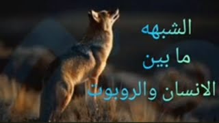 زامل لو ترى ياذيب يكفي اني في حياتي إستظيت الشبه مابين الانسان والربوتسالمالمسعودي
