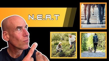 Burn 600+ Extra Calories Daily Without Exercise! | NEAT & Simple Weight Loss Tips