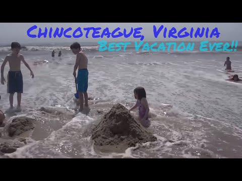 Video: Chincoteague Savvaļas Poniji Asateigas Salu Poniji Dienas Veterinārārsts