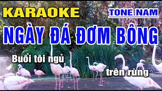 Karaoke Ngày Đá Đơm Bông Beat Hay Tone Nam Nhạc Sống Mới Nhất I Nhạc Sống Duy Cường