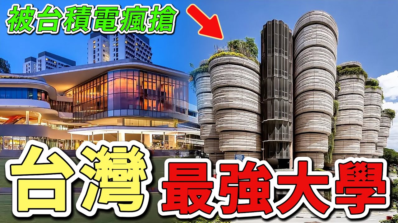 10所臺灣史上最強的大學，第一名QS世界排名比第二名前進30多名，堪稱臺灣高等教育之光！|好奇風向標 #世界之最 #出類拔萃 #腦洞大開 #top10 #台灣 #大學