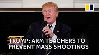 Donald Trump suggests arming teachers with guns to prevent mass shootings