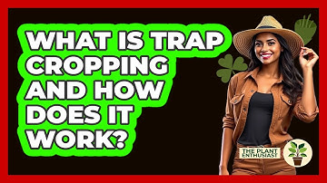 What Is Trap Cropping And How Does It Work? - The Plant Enthusiast