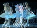 My Choice 354 - Tchaikowsky: Swan Lake