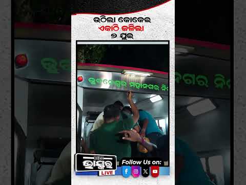 ଉଠିଲା କୋକେଇ, କାନ୍ଦରେ ଫାଟି ପଡୁଛି ଘର, ଜଳିଲା 7 ଜଣଙ୍କ... #ytshorts #shortsvideo #odishabhaskar #mp #odia