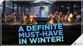 Hot Tips for Cold Days: Choosing the Best Heated Chicken Waterer for Winter by The Happy Chicken Coop 1,264 views 2 months ago 7 minutes, 44 seconds