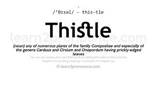 Thistle pronunciation and definition