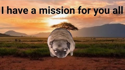 This is the pug OVERTAKE!! #funny #pug 