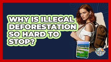Why Is Illegal Deforestation So Hard To Stop? - The Geography Atlas