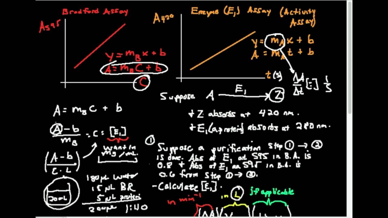 Enzyme Purification Chart