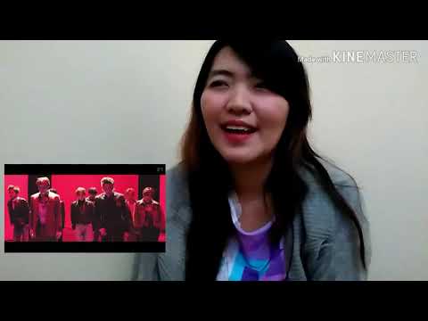EXO TEMPO MV REACTION so energetic