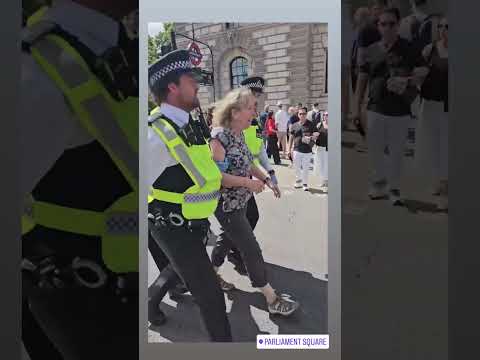 Woman Arrested During Pro-Palestine Protest in London