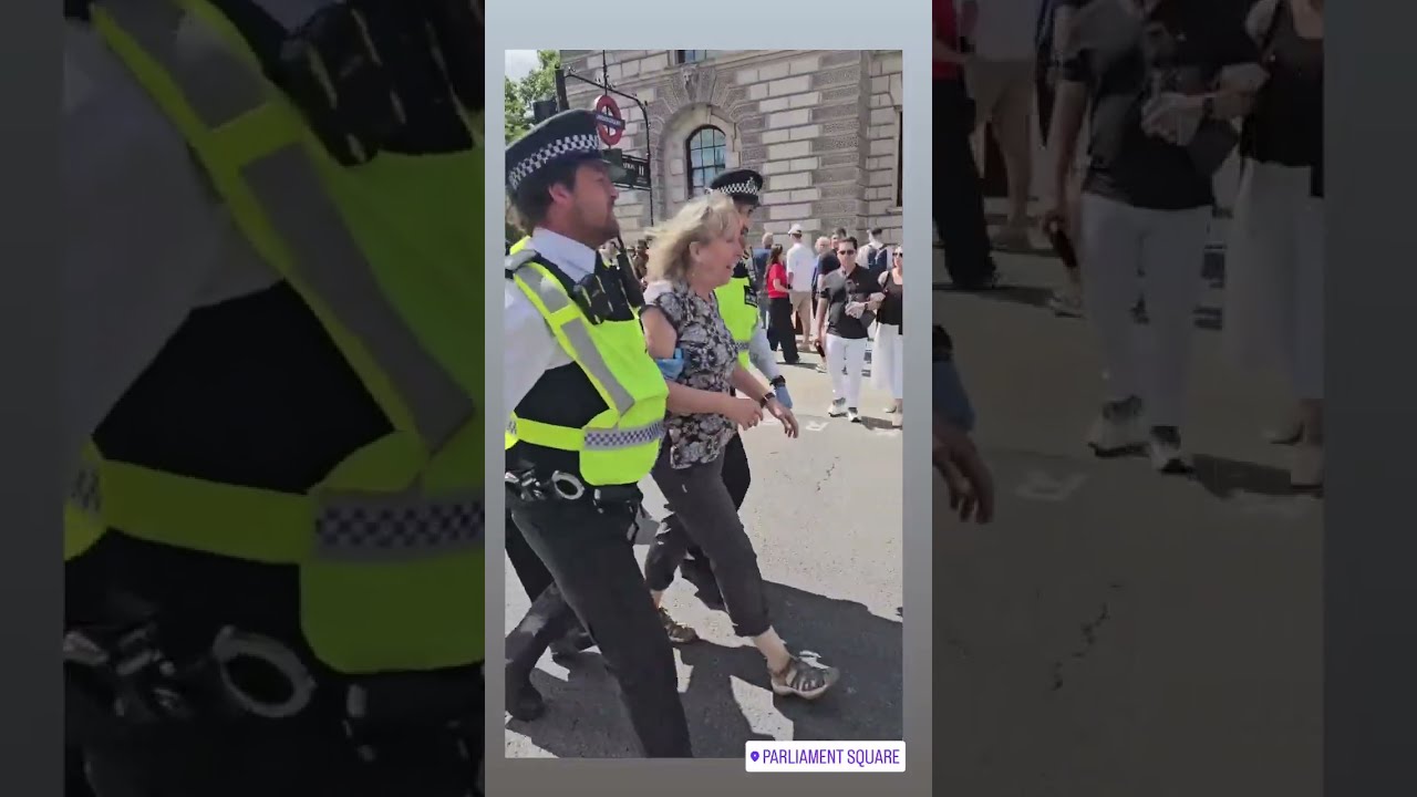 Woman Arrested During Pro Palestine Protest In London